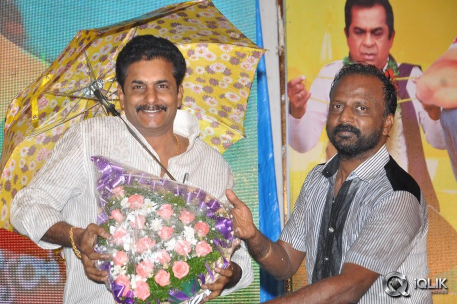 Malligadu-Marriage-Bureau-Audio-Release
